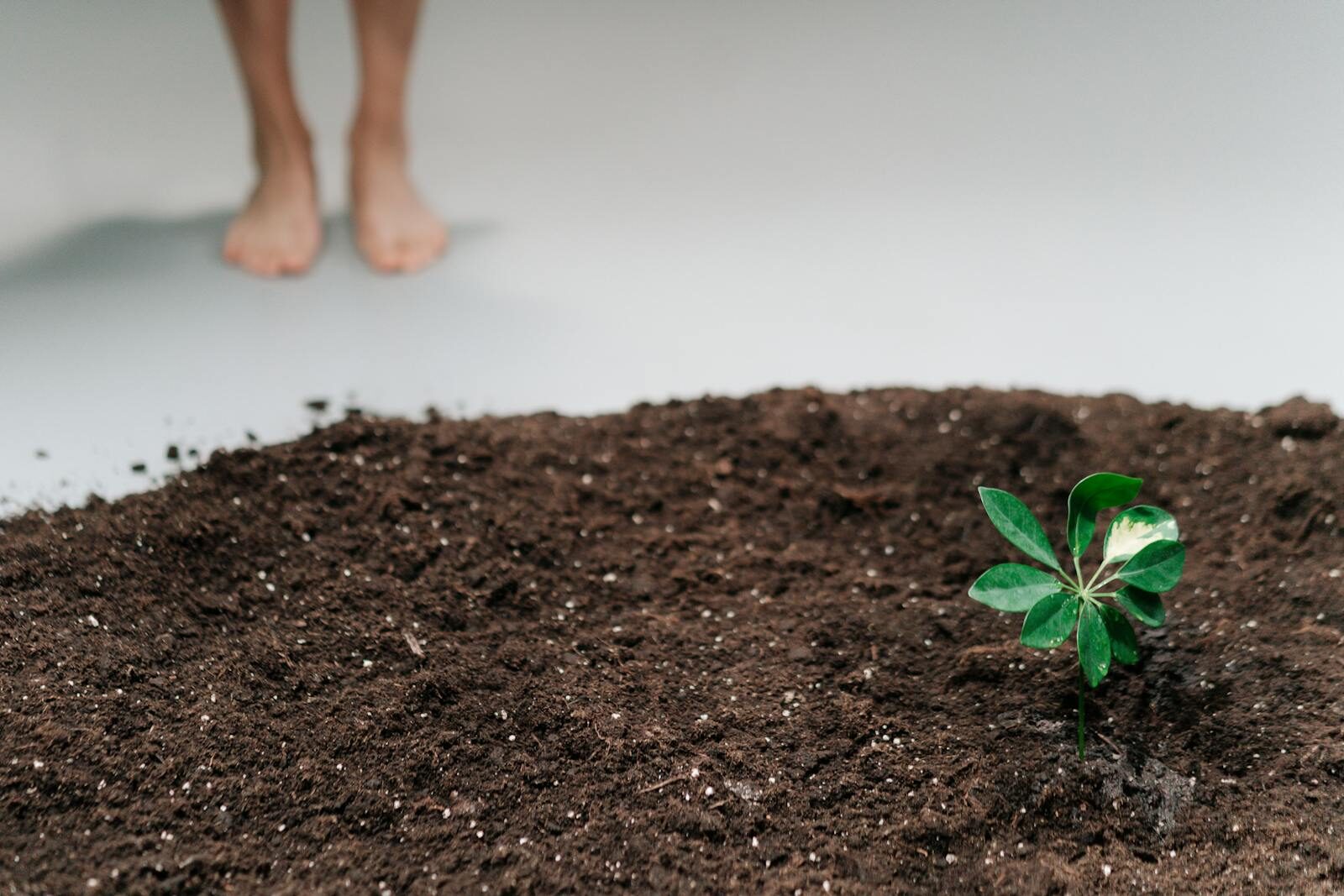 Taking Carbon Footprint Management from PoC to Scalable AI-Powered SaaS.